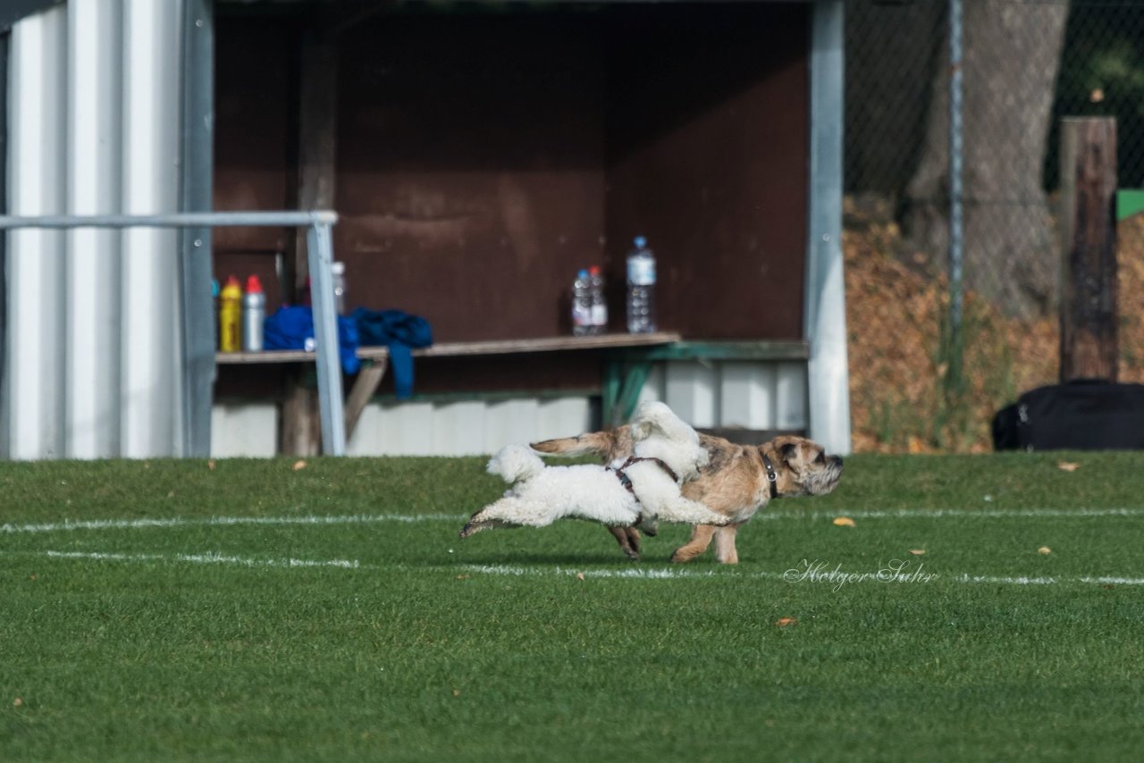 Bild 189 - wBJ MSG Steinhorst-Krummesse - VfL Pinneberg : Ergebnis: 2:0